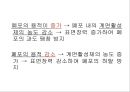 Lung 23페이지