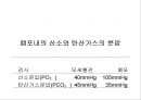 Lung 25페이지