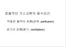 Lung 27페이지