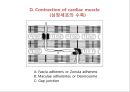  심전도 5페이지