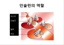  대사성질환 4페이지