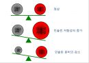  대사성질환 10페이지