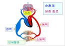  5심전도 3페이지