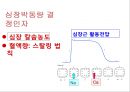  5심전도 5페이지