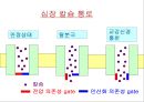  5심전도 7페이지