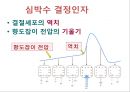  5심전도 11페이지
