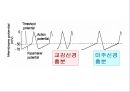  5심전도 12페이지