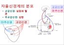  5심전도 17페이지