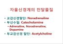  5심전도 18페이지