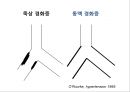  심혈관계질환 9페이지