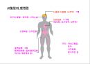  심혈관계질환 27페이지