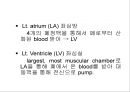 [Dankook Sports Medicine] 06.심혈관계 해부생리.ppt 10페이지