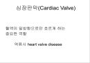 [Dankook Sports Medicine] 06.심혈관계 해부생리.ppt 11페이지