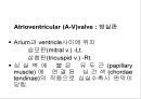 [Dankook Sports Medicine] 06.심혈관계 해부생리.ppt 12페이지