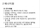 [Dankook Sports Medicine] 05.에너지 시스템 6페이지