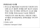 [Dankook Sports Medicine] 05.에너지 시스템 15페이지