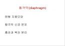 [Dankook Sports Medicine] 07.폐해부생리.ppt 10페이지