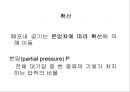 [Dankook Sports Medicine] 07.폐해부생리.ppt 24페이지