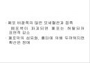 [Dankook Sports Medicine] 07.폐해부생리.ppt 28페이지