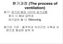 [Dankook Sports Medicine] 07.폐해부생리.ppt 30페이지