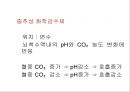 [Dankook Sports Medicine] 07.폐해부생리.ppt 36페이지