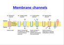 [Dankook Sports Medicine] 02.골격근의 구조와 기능.ppt 6페이지