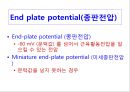 [Dankook Sports Medicine] 02.골격근의 구조와 기능.ppt 15페이지