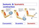 [Dankook Sports Medicine] 02.골격근의 구조와 기능.ppt 35페이지