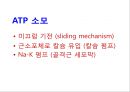 [Dankook Sports Medicine] 02.골격근의 구조와 기능.ppt 36페이지