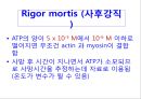 [Dankook Sports Medicine] 02.골격근의 구조와 기능.ppt 37페이지