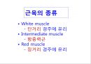 [Dankook Sports Medicine] 02.골격근의 구조와 기능.ppt 38페이지