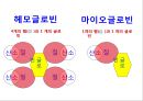 [Dankook Sports Medicine] 02.골격근의 구조와 기능.ppt 40페이지