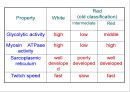 [Dankook Sports Medicine] 02.골격근의 구조와 기능.ppt 42페이지