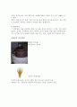 일본의 다도 31페이지