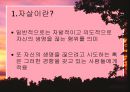 노인자살예방-노인자살현황, 노인자살의 원인과 예방대책 3페이지