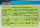 장애인 등에 대한 특수교육법 -입법추진배경, 법률연혁, 주요내용, 문제점 및 관련이슈  31페이지