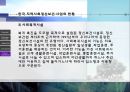 지역사회정신보건-지역사회정신보건의 개념, 원리, 특징, 중요성, 구성요소,향후 지역사회사회정신보건의 전망  13페이지