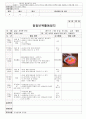 만3세 2월 설날/새로운준비 보육일지(보육실습일지) 24페이지