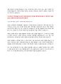 SK INNOVATION PETROCHEM 3페이지