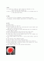 뇌수막염 (bacterial meningitis) 5페이지