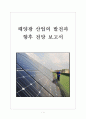 [태양광 시장] 태양광 산업의 발전과 향후 전망 보고서 1페이지
