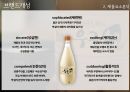  국순당 우국생 마케팅, 광고전략 제안 14페이지
