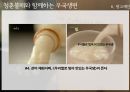  국순당 우국생 마케팅, 광고전략 제안 43페이지