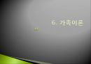 01.현대가족에 대한 이해.pptx 42페이지