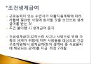 복지국가에서의 가족정책의 지위와 역할.pptx 20페이지