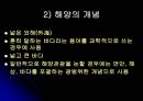 해양 관광 개발  5페이지