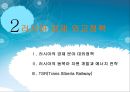 러시아 외교정책 18페이지