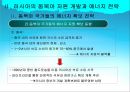 러시아 외교정책 35페이지