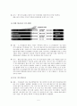 DK AIRLINES 채용전략  5페이지