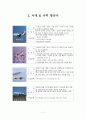 DK AIRLINES 채용전략  7페이지